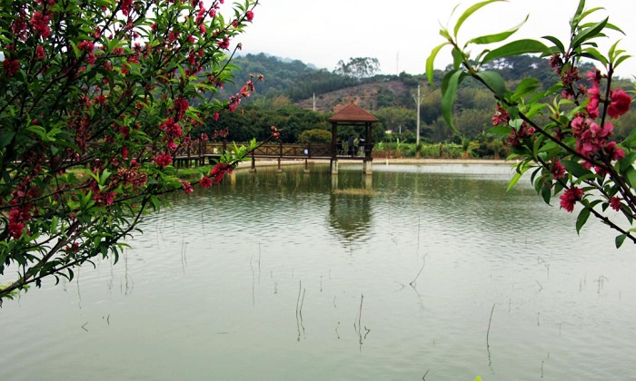 良田村一景。浦北縣委宣傳部供圖