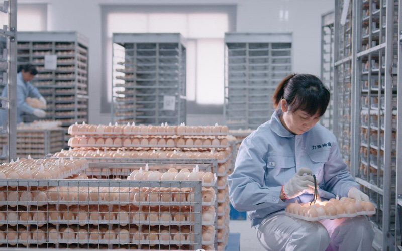 農(nóng)發(fā)行桂林分行向力源集團(tuán)提供全產(chǎn)業(yè)鏈資金支持。