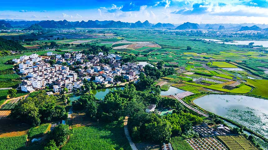 夏日鄉(xiāng)村。韋任鋒攝