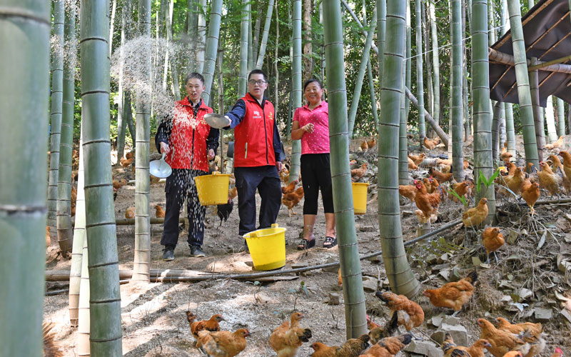 仁溪村種養(yǎng)合作社。