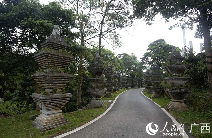 石祖禪茶園一景。人民網(wǎng)記者 彭遠(yuǎn)賀攝