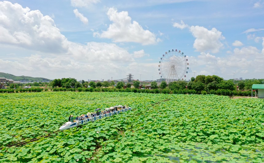游客乘坐景區(qū)小火車。