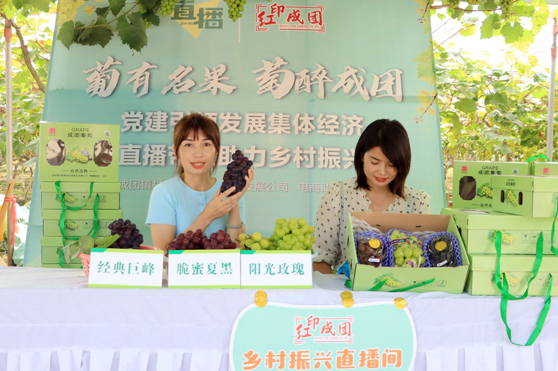 直播帶貨助力增收。