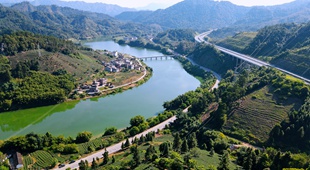 國道241線福行村路段