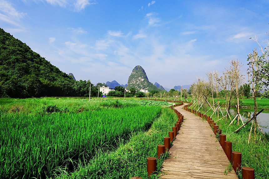 高標(biāo)農(nóng)田建設(shè)