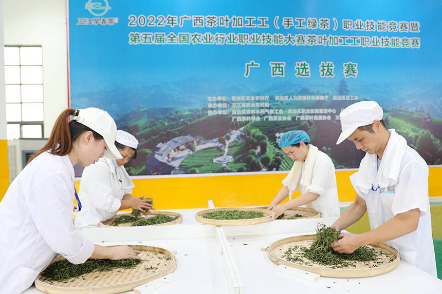 參賽選手在參加制茶實(shí)操比賽。龔普康攝