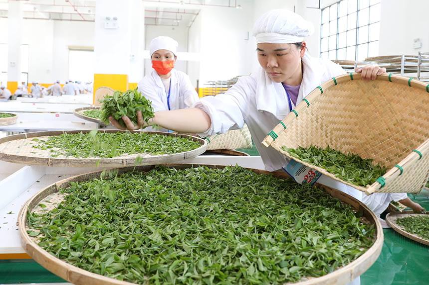 參賽選手在攤青。龔普康攝