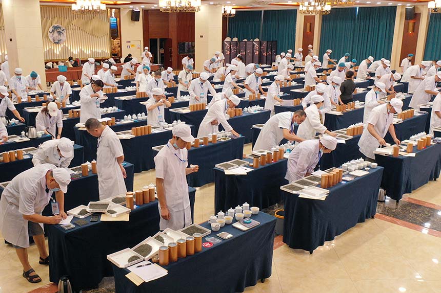 參賽選手在參加精制篩號茶拼配比賽。龔普康攝