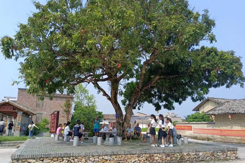 村民在大樹下乘涼閑談，悠然自得