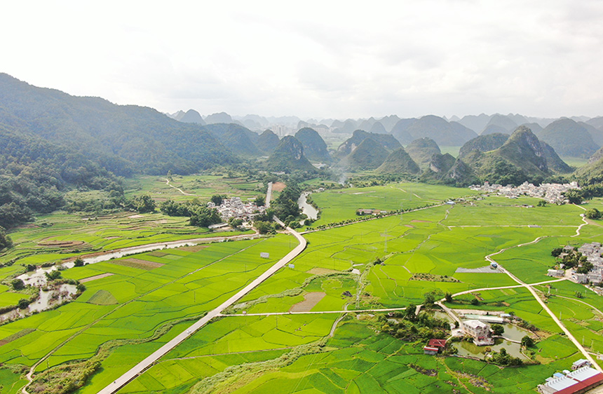 美麗的田園畫卷。