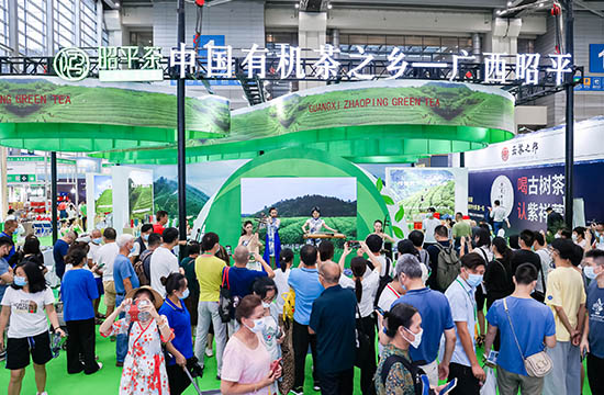 昭平展位現(xiàn)場引眾多觀眾駐足。楊濟銘攝