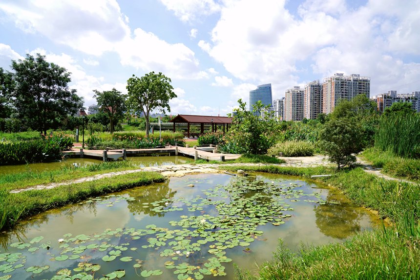 北投體育公園之凈水花園。畢斌平攝