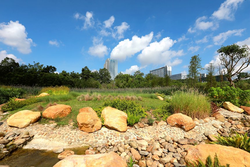 明月湖公園一角。黃云峰攝