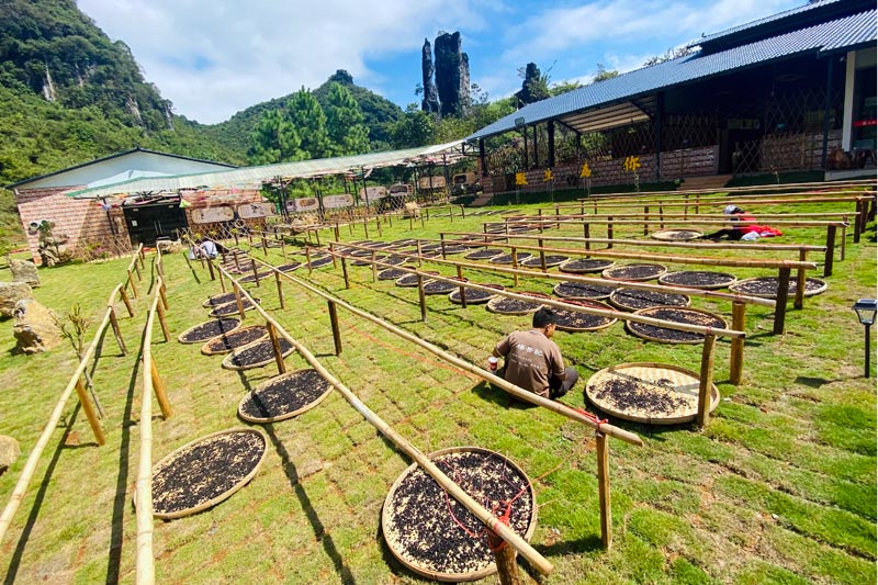 豆豉晾曬場(chǎng)。