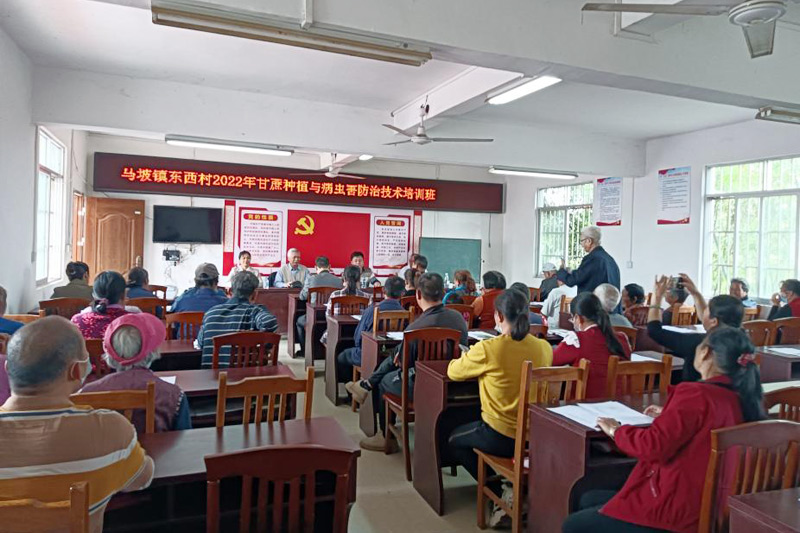 東西村2022年甘蔗擴建種植與病蟲害防治技術培訓班。