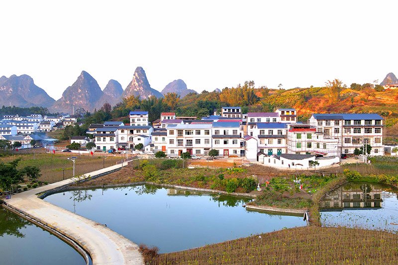 冬日暖陽(yáng)下的新坡村。