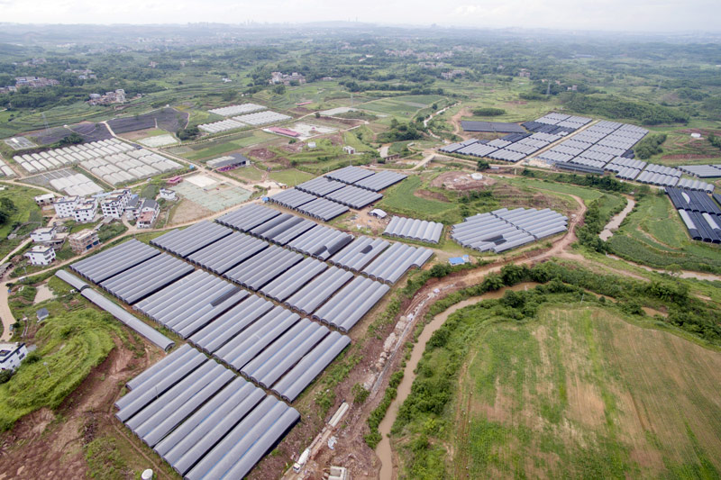 幸福集團產(chǎn)業(yè)園。