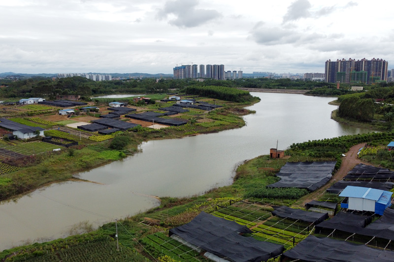 興寧區(qū)三塘鎮(zhèn)圍村。