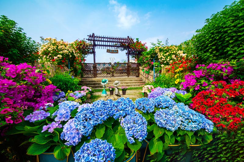 竹江村網(wǎng)紅打卡點——一米陽光花園。