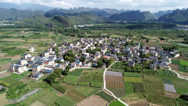 竹江村全景。