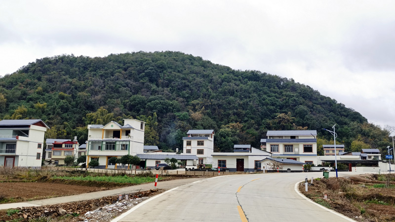 平桂區(qū)羊頭鎮(zhèn)龍山村鄉(xiāng)村風貌。