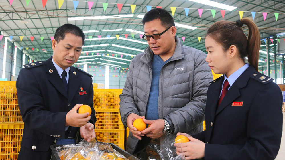 稅惠春雨助發(fā)展 鄉(xiāng)村振興結(jié)碩果武鳴區(qū)稅務(wù)局積極貫徹一號(hào)文件精神，聚焦農(nóng)業(yè)企業(yè)及農(nóng)村合作社，通過(guò)政策扶持、定點(diǎn)幫扶和上門服務(wù)等方式，提升當(dāng)?shù)靥厣F(xiàn)代農(nóng)業(yè)企業(yè)市場(chǎng)競(jìng)爭(zhēng)力。