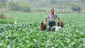 鐘山縣供銷社：創(chuàng)新成立村級供銷社 為民謀福祉