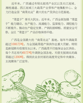廣西成全國(guó)最大的“南菜北運(yùn)”基地 