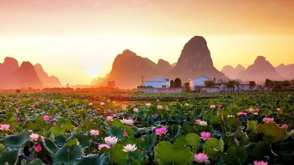  柳江區(qū)百朋鎮(zhèn)懷洪村：做好村莊規(guī)劃 推進鄉(xiāng)村振興柳州市柳江區(qū)百朋鎮(zhèn)懷洪村山奇水秀、荷田萬畝，具有“中國美麗田園”的稱號