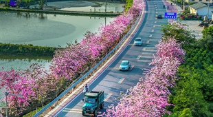 廣西蒙山蒙山鎮(zhèn)北樓村