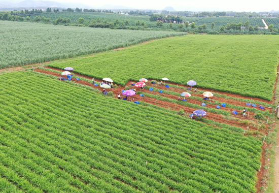 工人們?cè)诿β凳丈? ></td></tr><tr><td align=center><font color='#000000'>工人們?cè)诿β凳丈?/font></td></tr></table></div>
				<p style=