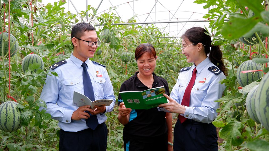 稅務(wù)干部走進(jìn)北海市銀海區(qū)福成鎮(zhèn)新綠農(nóng)民專業(yè)合作社西瓜種植基地，面對(duì)面講解涉農(nóng)稅費(fèi)優(yōu)惠政策，為企業(yè)生產(chǎn)發(fā)展提供有力政策保障