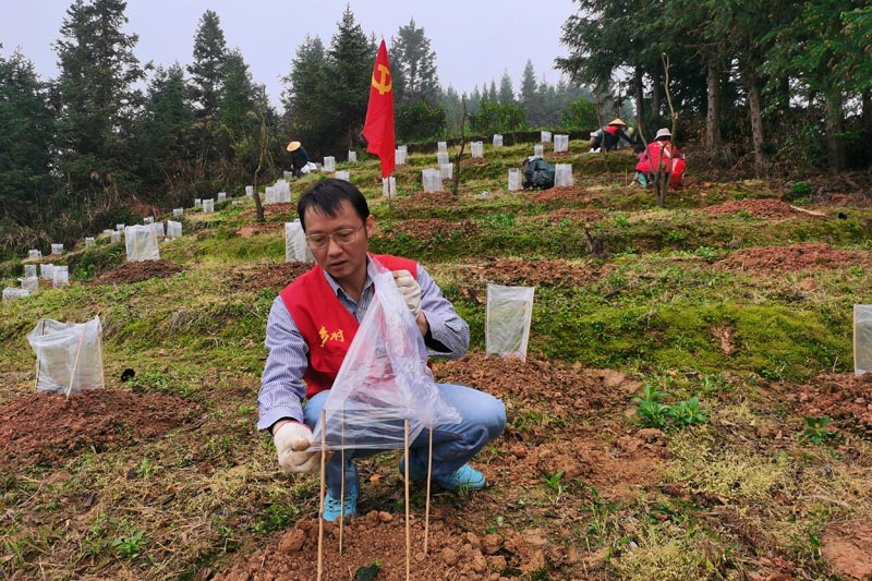 廣西藥用植物園駐獨(dú)鏡村第一書記陳高帶頭開荒，建起獨(dú)鏡村羅漢果產(chǎn)業(yè)基地。