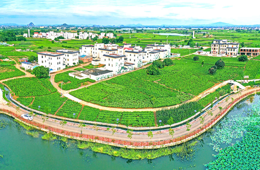 航拍橫州市鄉(xiāng)村風(fēng)貌。黃汝德攝.jpg