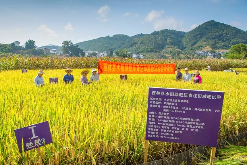 測產(chǎn)驗收現(xiàn)場。李世華攝