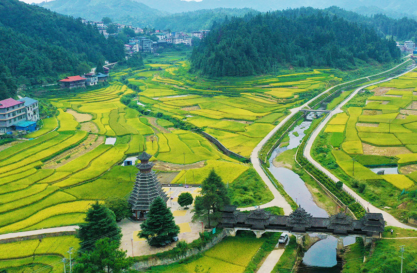 安太鄉(xiāng)寨懷村田園風(fēng)光。
