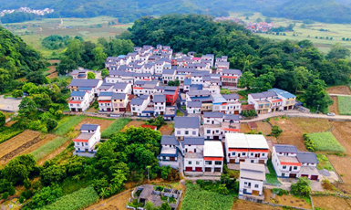 百色市平果市果化鎮(zhèn)那吉村