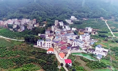 梧州市蒙山縣蒙山鎮(zhèn)甘棠村