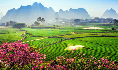 柳州市柳江區(qū)三都鎮(zhèn)覺山村