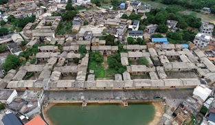 欽州市靈山縣新圩鎮(zhèn)萍塘村千年古樹結(jié)富果，革命老區(qū)換新顏。她從荔枝之鄉(xiāng)走出來，將文明之花厚植于傳統(tǒng)沃土中，讓鄉(xiāng)村生活有“溫度”更有“厚度”。走近她，目之所及是碧水綠樹，耳之所聞是歡聲笑語，壯美鄉(xiāng)村名副其實(shí)。[詳細(xì)] 