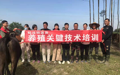 培訓(xùn)現(xiàn)場。