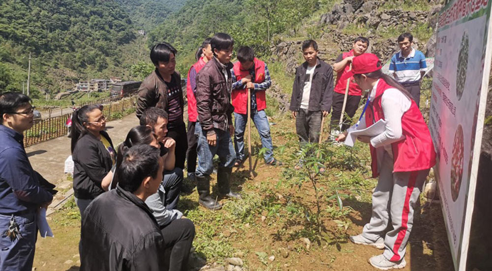 東蘭縣科技特派員科技助力鄉(xiāng)村振興自2003年廣西開展科技特派員工作以來，東蘭縣科技局先后選派出科技特派員258人次，重點(diǎn)圍繞畜禽、水產(chǎn)品、蔬菜、林果、糧食、中藥材、特色農(nóng)業(yè)及農(nóng)產(chǎn)品加工等特色產(chǎn)業(yè)發(fā)展。