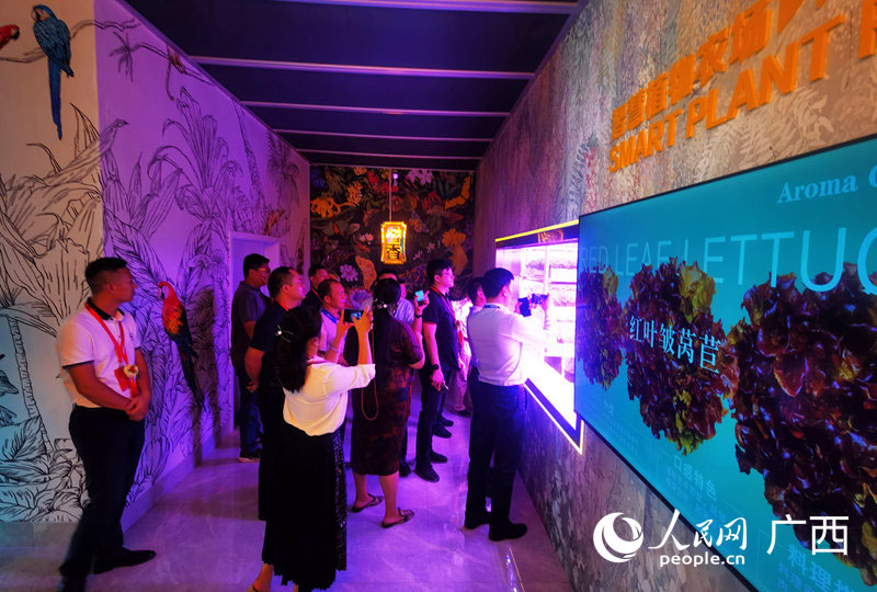 考察組走進(jìn)橫州市開展實地考察調(diào)研活動。人民網(wǎng) 付華周攝