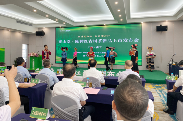 活動(dòng)現(xiàn)場(chǎng)。隆林縣委宣傳部供圖