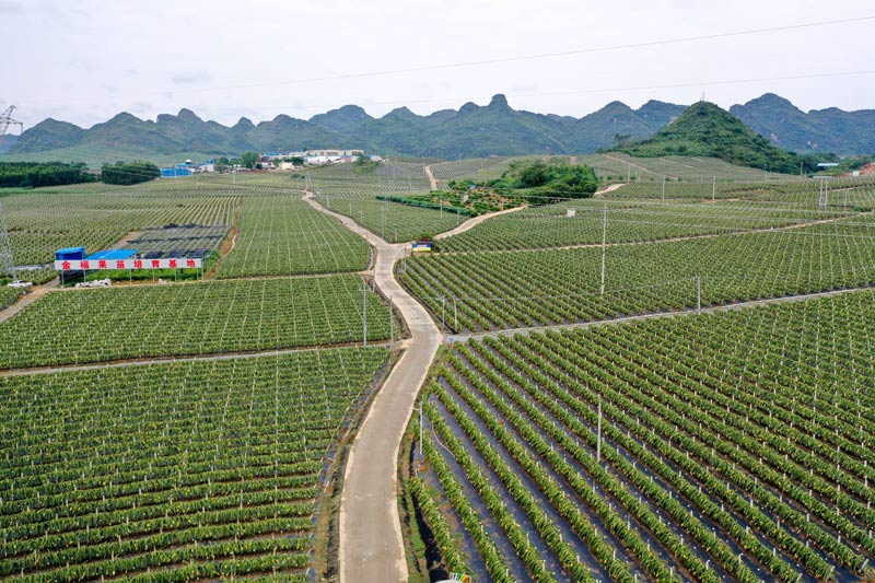 G358線沿線的金?；瘕埞兀ɡ铇I(yè)珍攝）