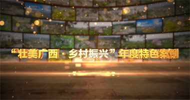 “壯美廣西·鄉(xiāng)村振興”年度特色案例·2022 視頻下載