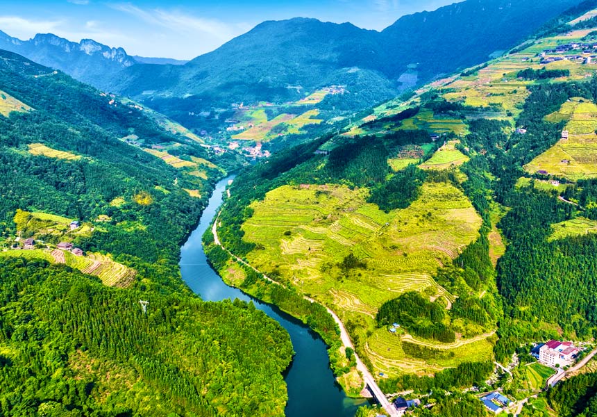 省道301線龍勝縣細門路段上的金色梯田。韋邦良攝