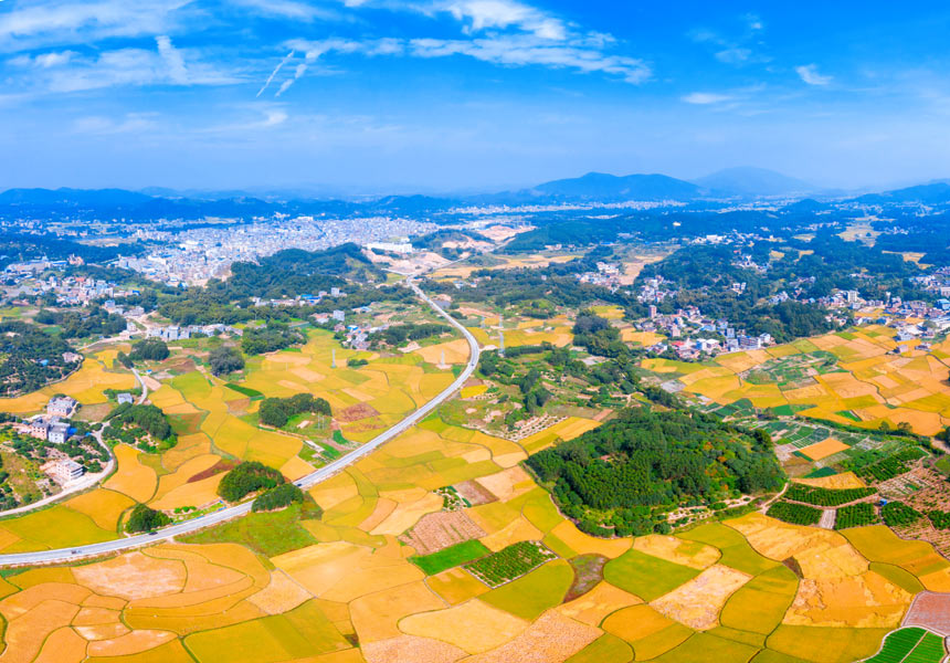 省道515線大寺路段秋意濃。米東攝