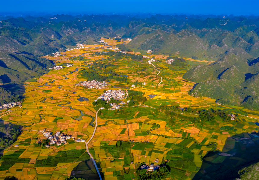 縣道772線靖西到孟麻二級(jí)公路美麗秋色。趙波攝