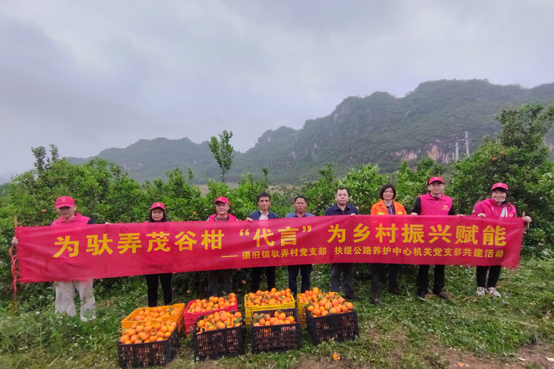 扶綏中心黨支部與幫扶村馱弄村黨支部結(jié)對共建 鄭春華攝